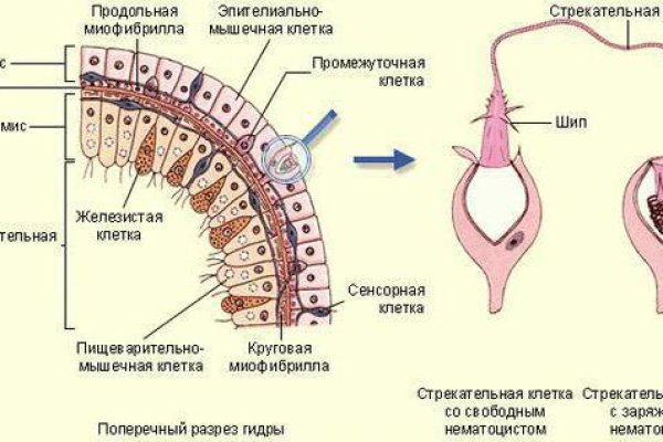 Кракен наркошоп ссылка