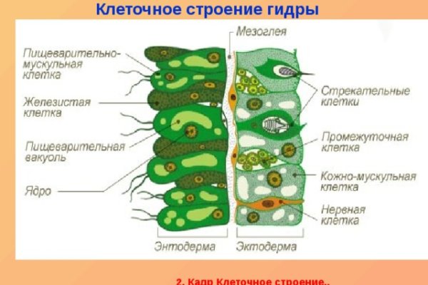 Вместо гидры