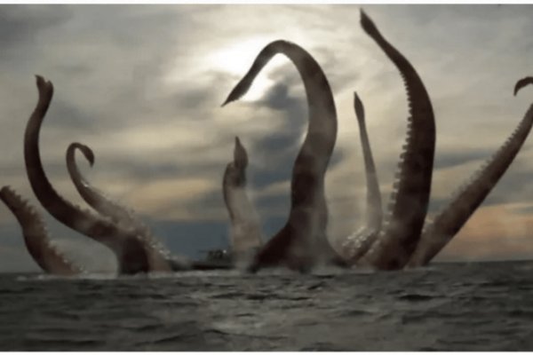 Http kraken