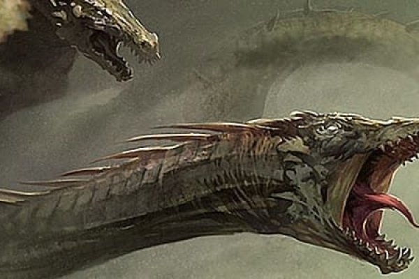 Kraken link